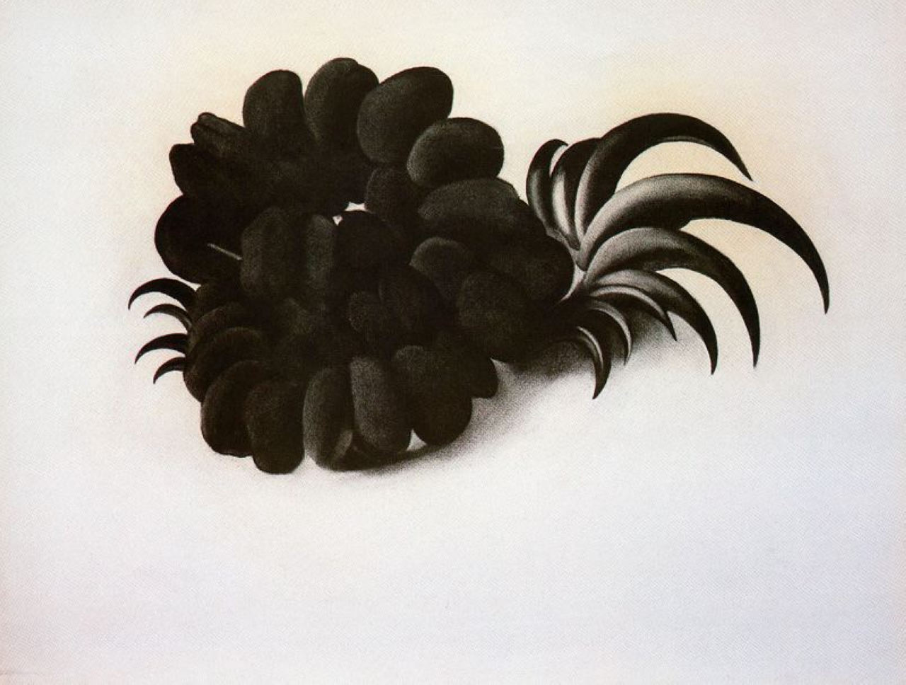 Eagle Claw and Bean Necklace - Georgia O'Keeffe Tablo