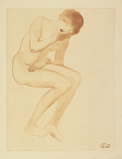 Femme Se Coiffant – Théophile Steinlen Tablo