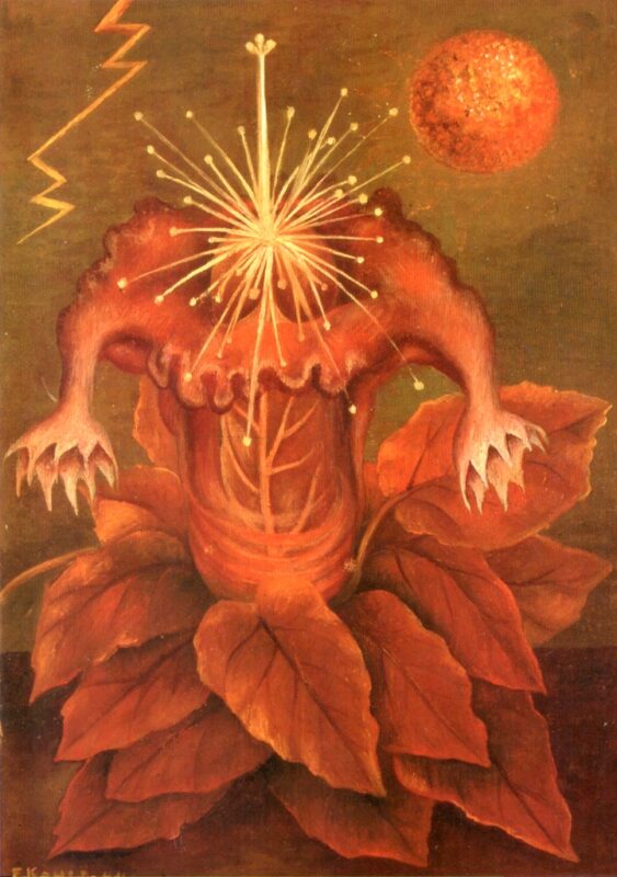Flower of Life (Flame Flower) (1943) - Frida Kahlo Tablo