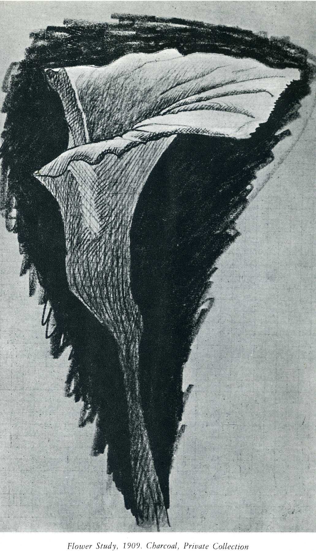 Flower study (1909) - Georges Braque Tablo