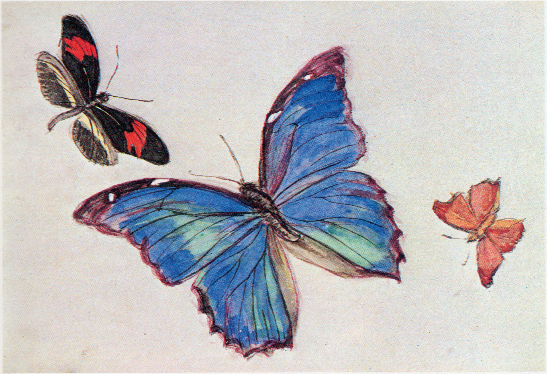 From the Notebooks Mourning for Butterflies (1906) - Fujishima Takeji Tablo kanvas tablo