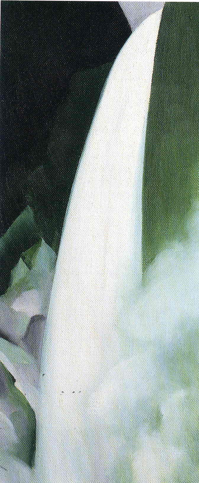 Green and White - Georgia O'Keeffe Tablo