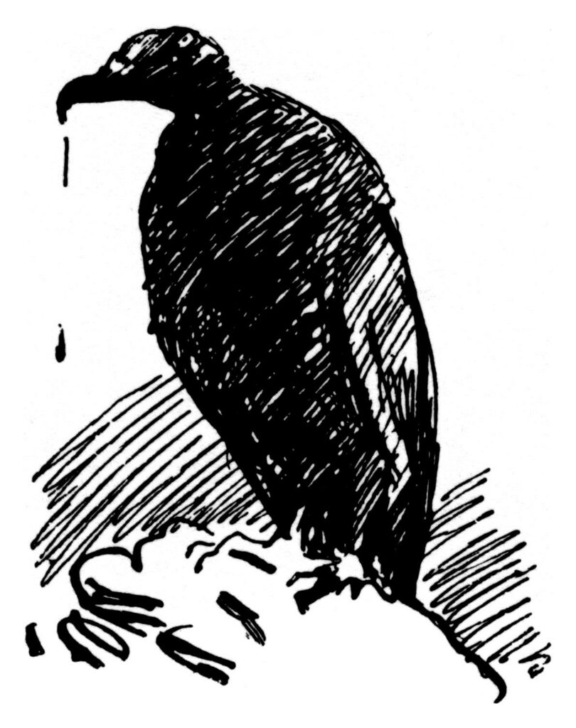 Hawk - Theodor Severin Kittelsen Tablo