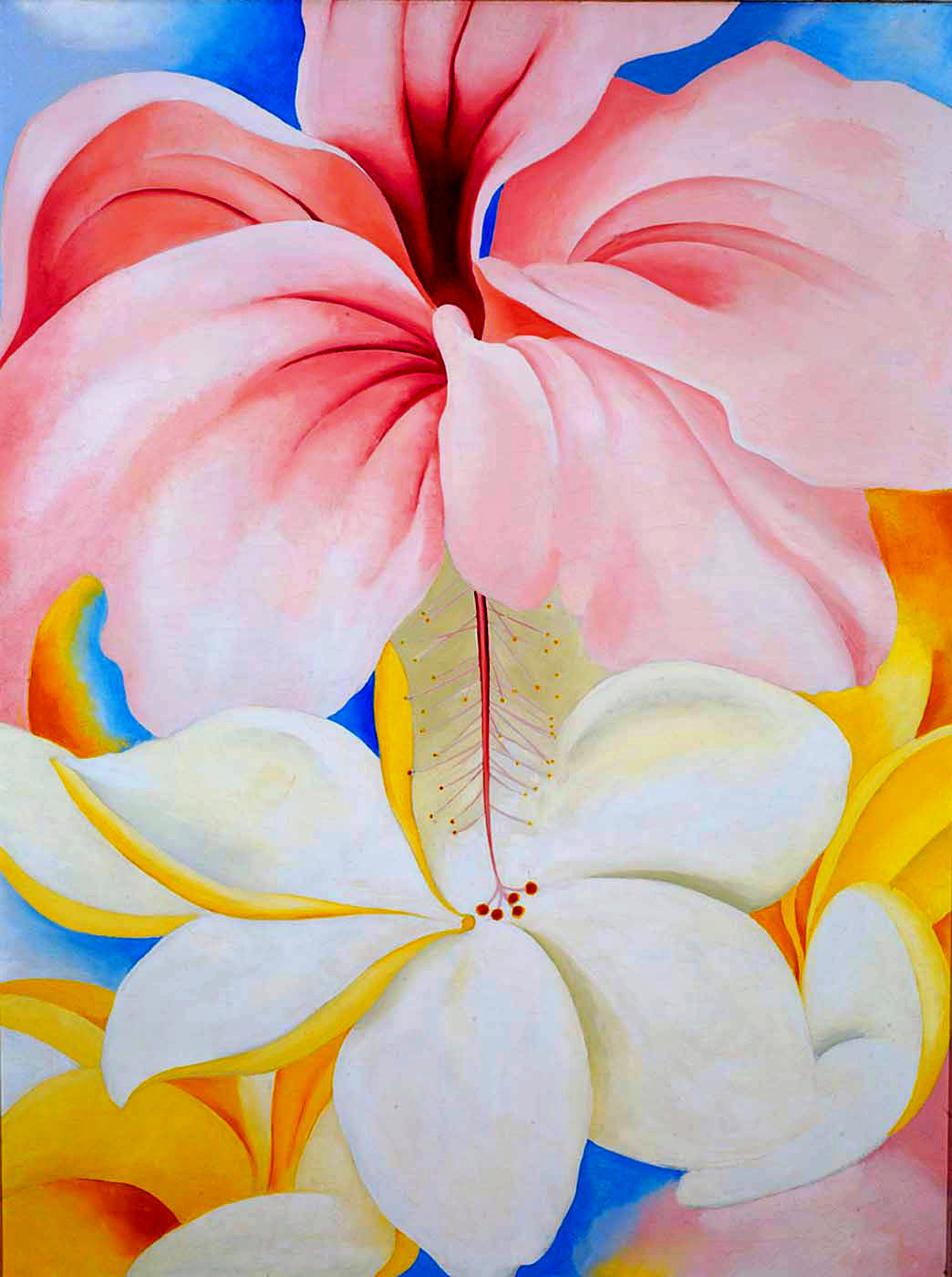 Hibiscus with Plumeria (1939) - Georgia O'Keeffe Tablo