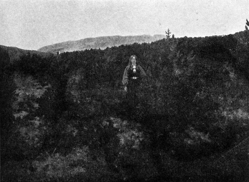 Huldra - Theodor Severin Kittelsen Tablo