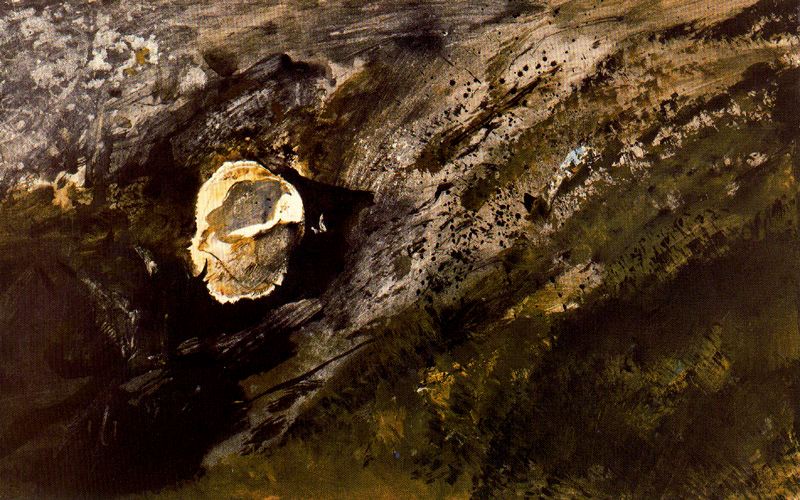 Inland Shell - Andrew Wyeth Tablo