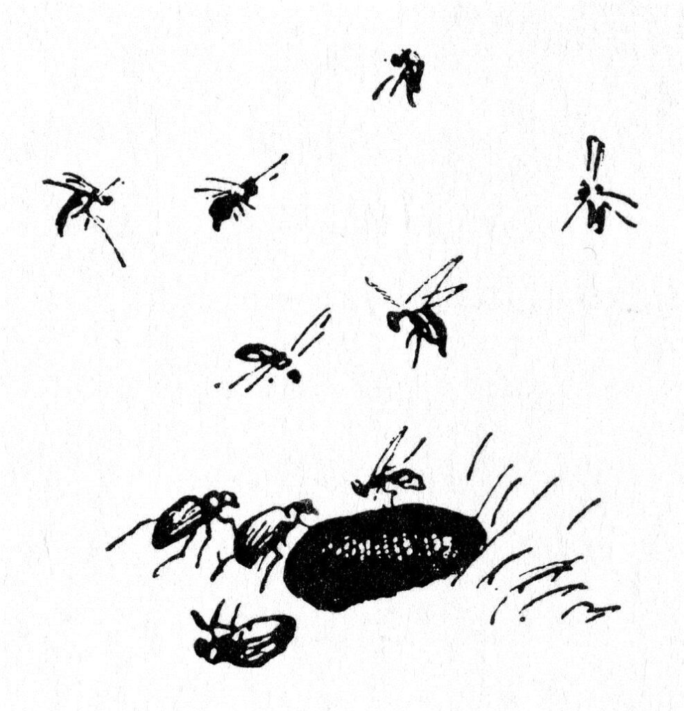 Insects - Theodor Severin Kittelsen Tablo