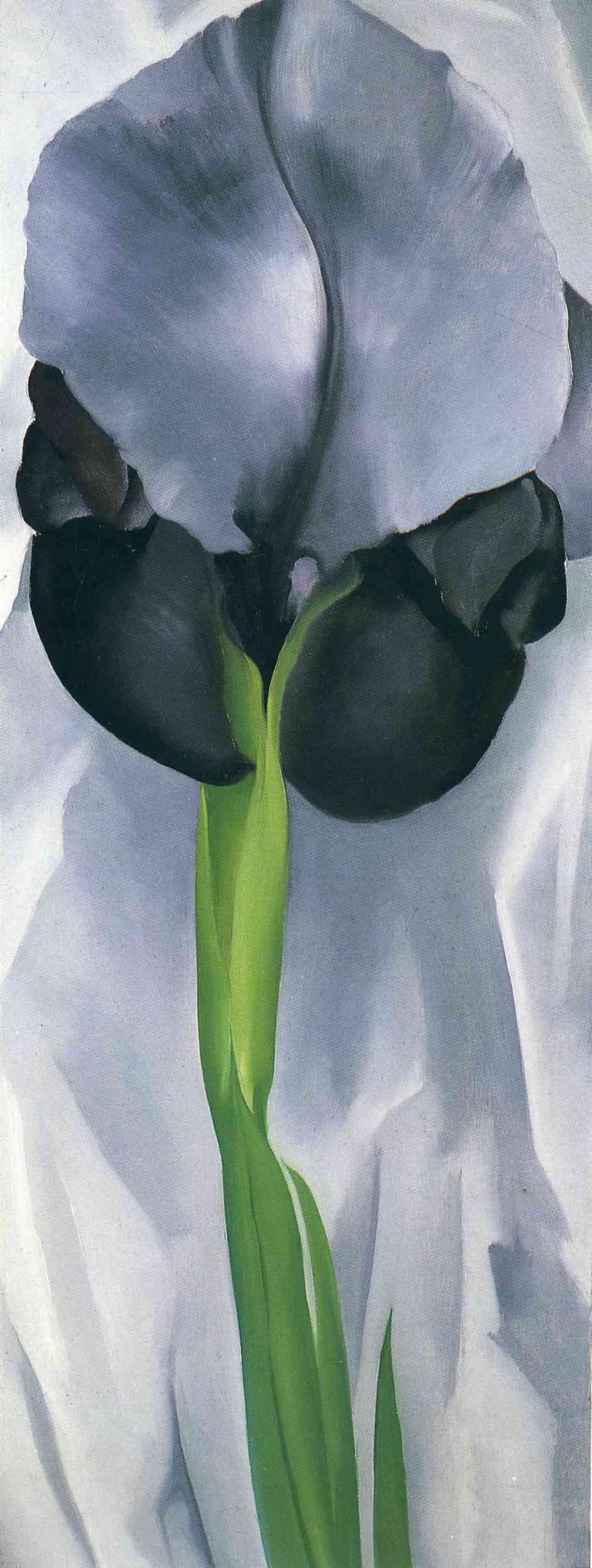 Iris 7 - Georgia O'Keeffe Tablo