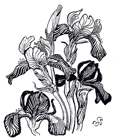 Irises - Stanisław Wyspiański Tablo