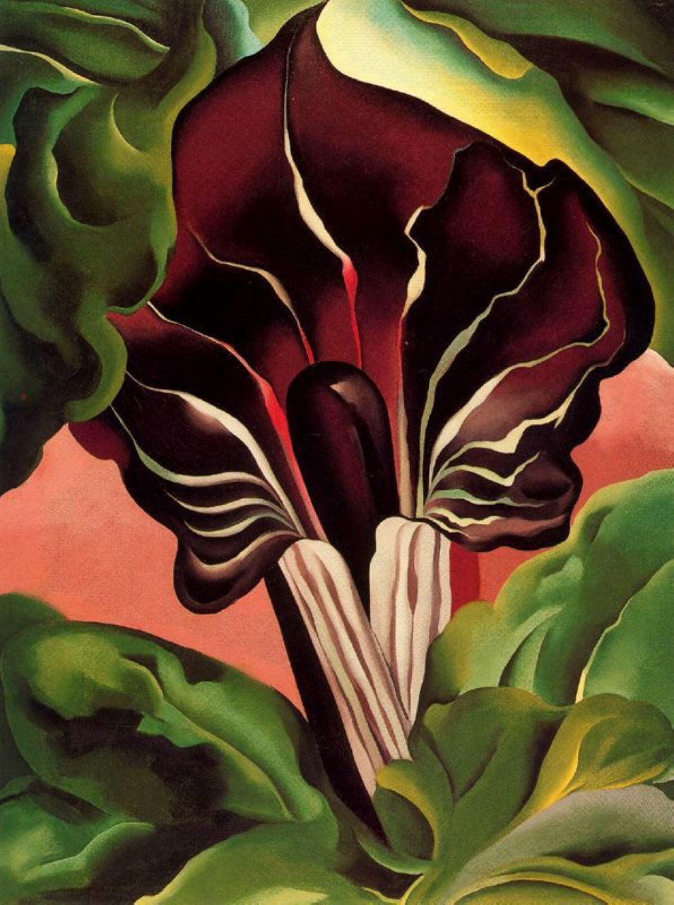 Jack in the Pulpit II (1930) - Georgia O'Keeffe Tablo