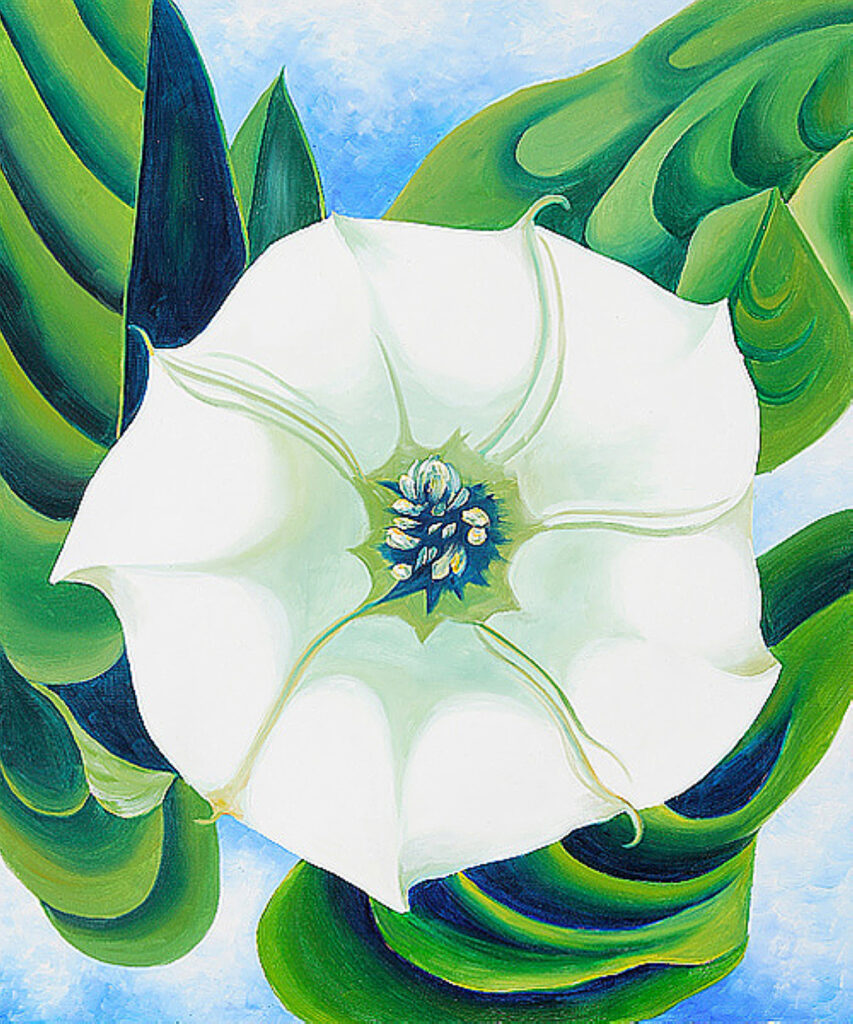 Jimson Weed (1932) - Georgia O'Keeffe Tablo