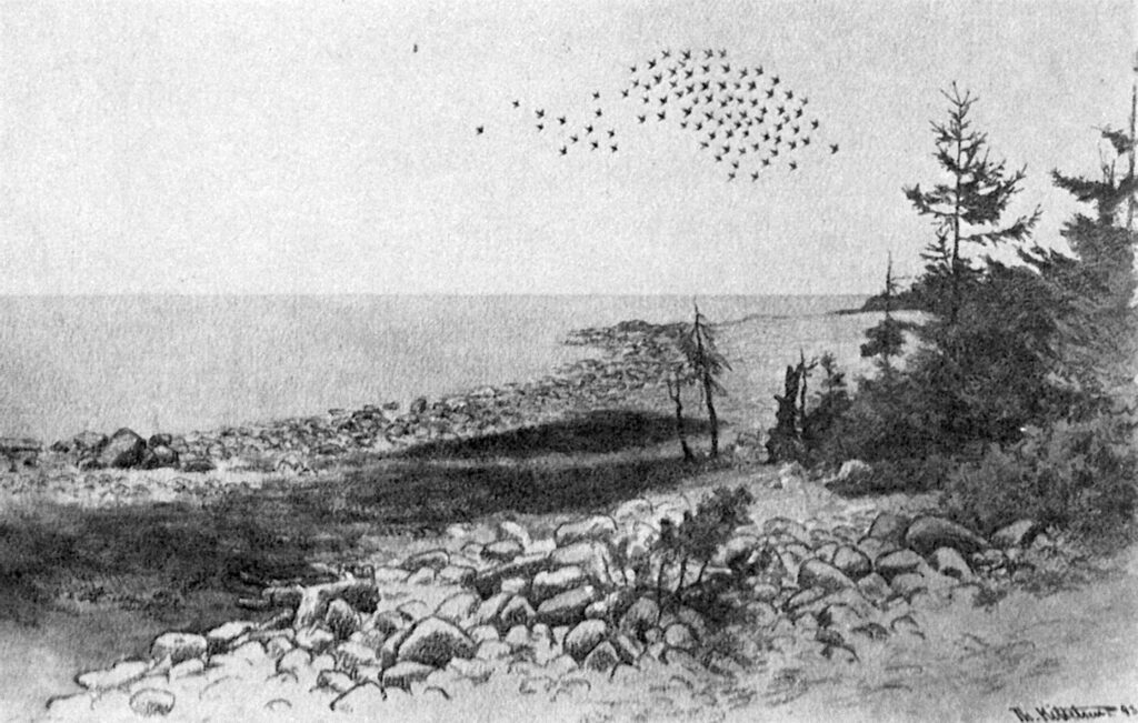 Jomfruland (1893) - Theodor Severin Kittelsen Tablo