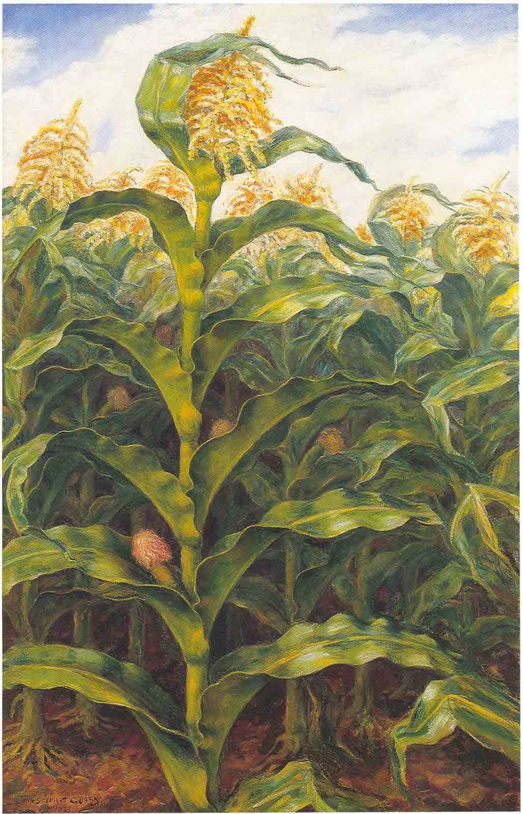 Kansas Cornfield (1933) - John Steuart Curry Tablo