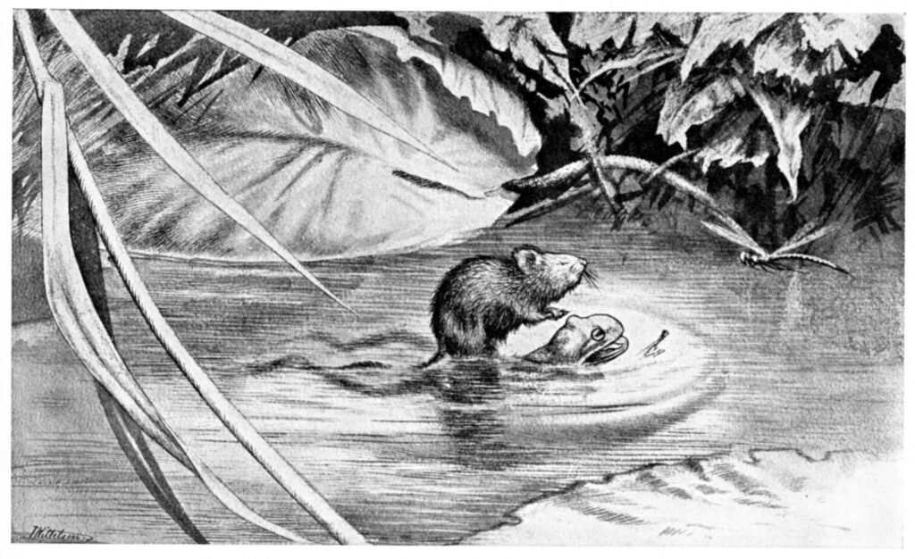 Krigen Mellom Froskene Og Musene 04 (1885) - Theodor Severin Kittelsen Tablo