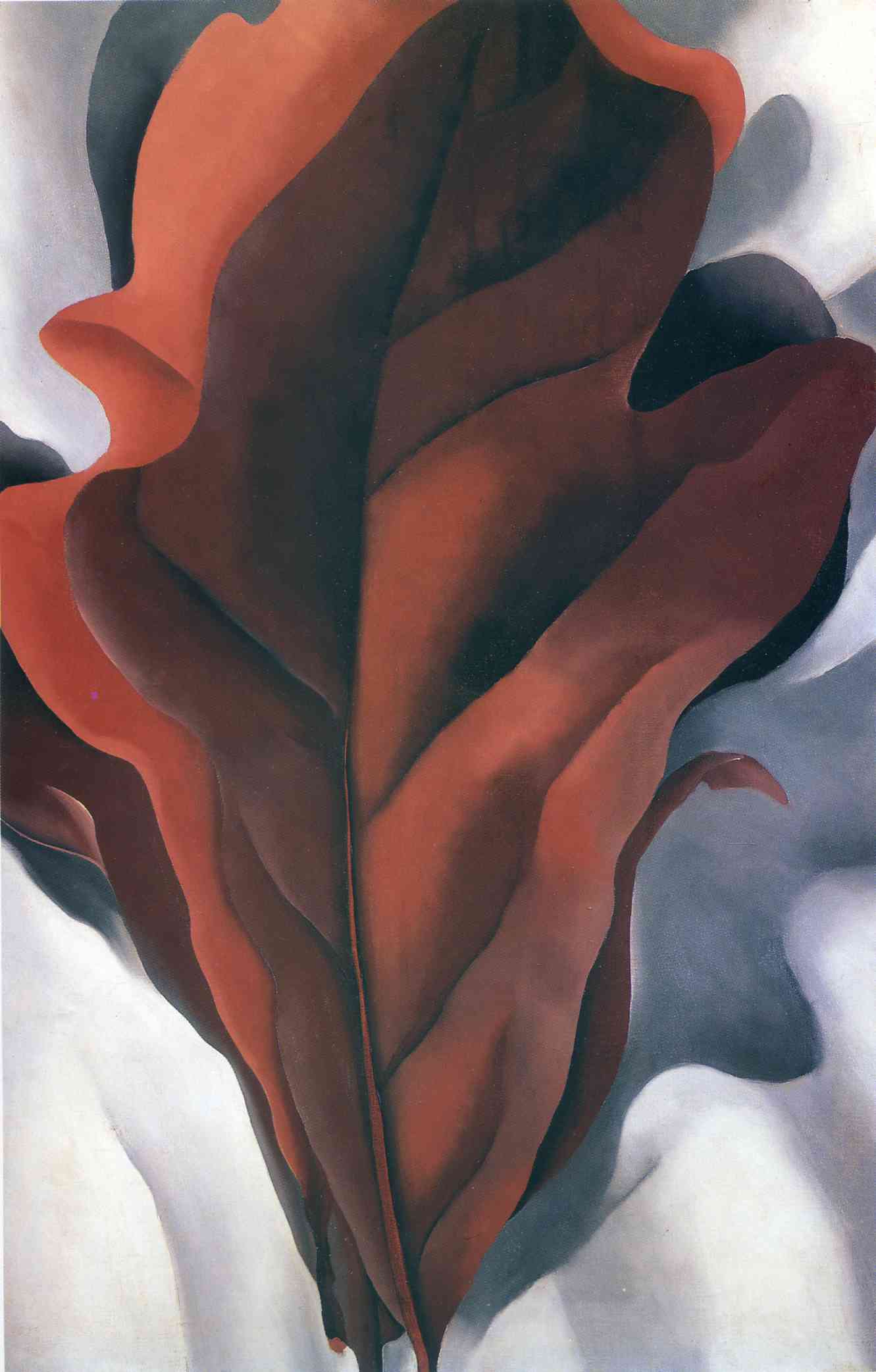 Large Dark Red Leaves on White - Georgia O'Keeffe Tablo