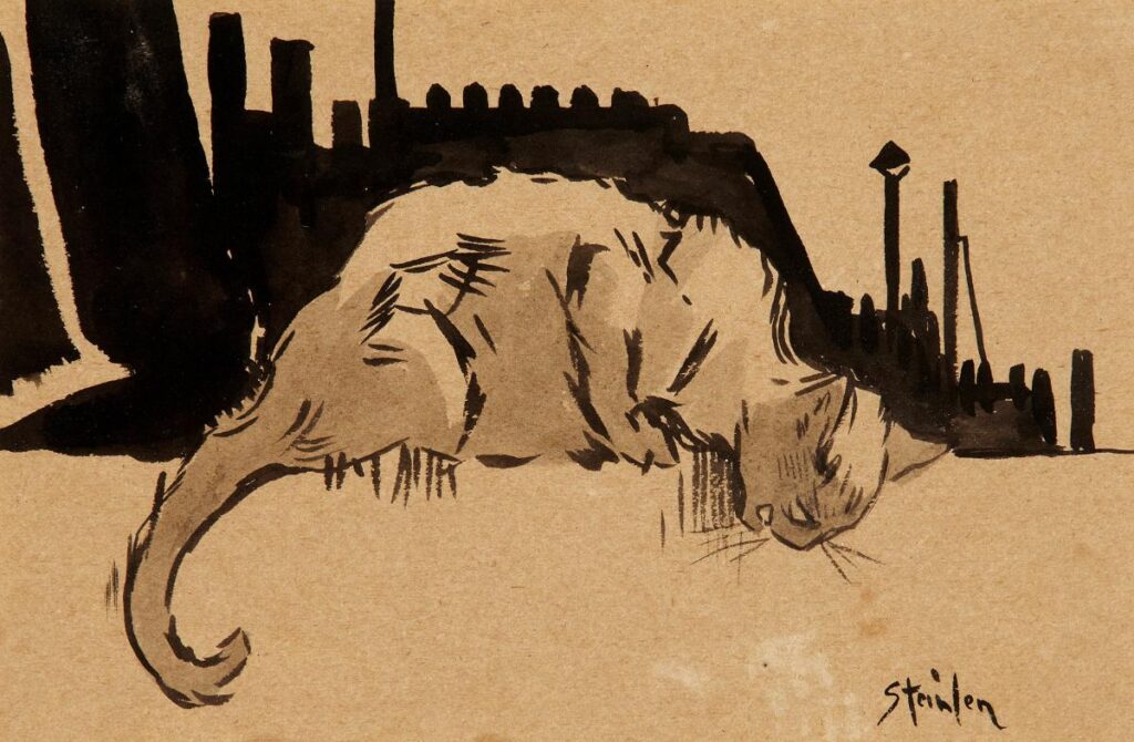 Le Chat Enerve - Théophile Steinlen Tablo