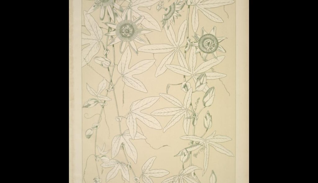 Leaves and Flowers from Nature Ornament no. 10. Passion flowers - Owen Jones Tablo