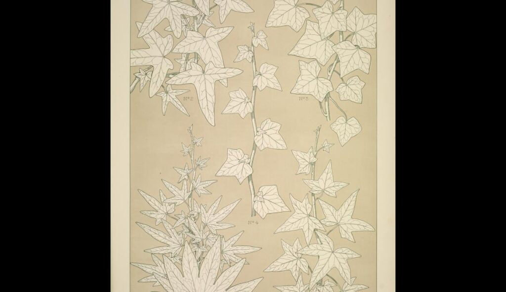 Leaves and Flowers from Nature Ornament no. 3. Ivy leaves, full size – Owen Jones Tablo