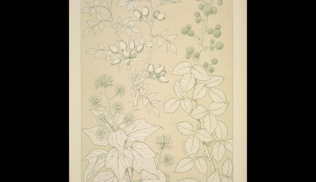 Leaves and Flowers from Nature Ornament no. 6. Wild rose, Ivy and Blackberry full size – Owen Jones Tablo