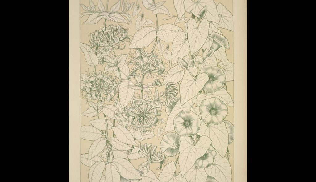 Leaves and Flowers from Nature Ornament no. 9. Honeysuckle and Convolvulus, full size - Owen Jones Tablo