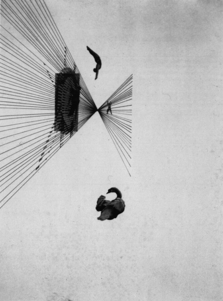 Leda and the Swan (1925) - László Moholy-Nagy Tablo