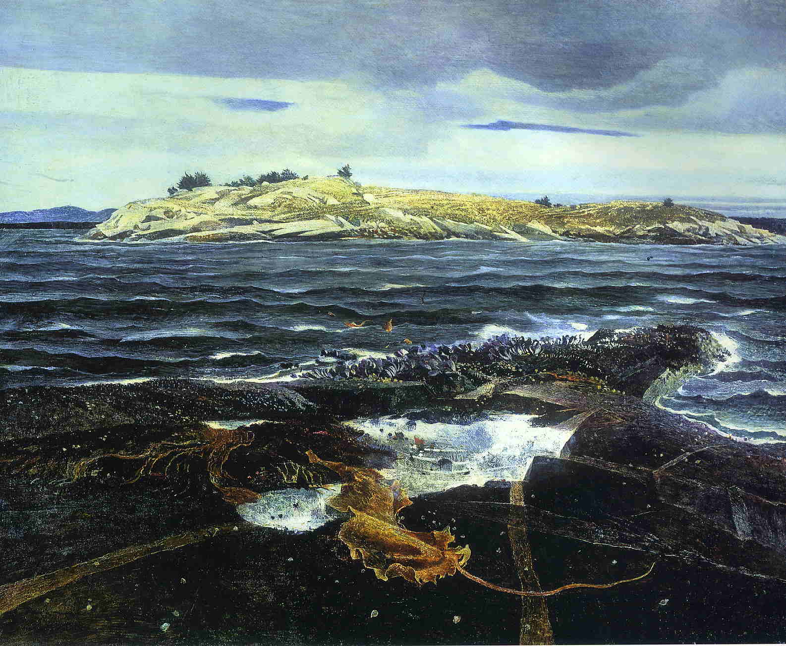 Little Caldwell's Island - Andrew Wyeth Tablo