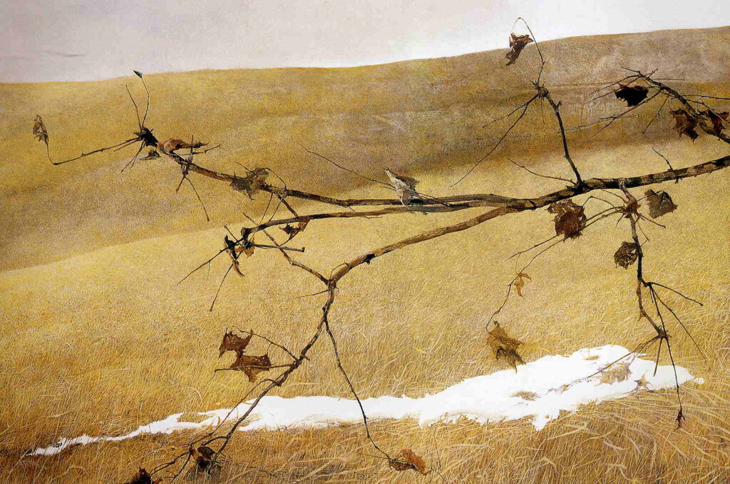 Long Limb - Andrew Wyeth Tablo