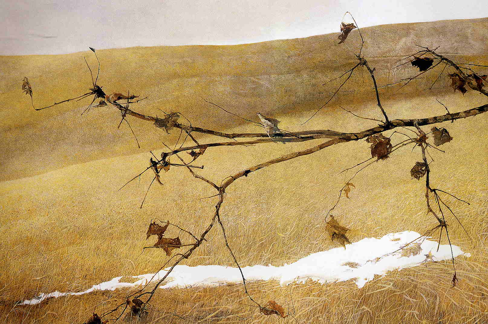 Long Limb - Andrew Wyeth Tablo