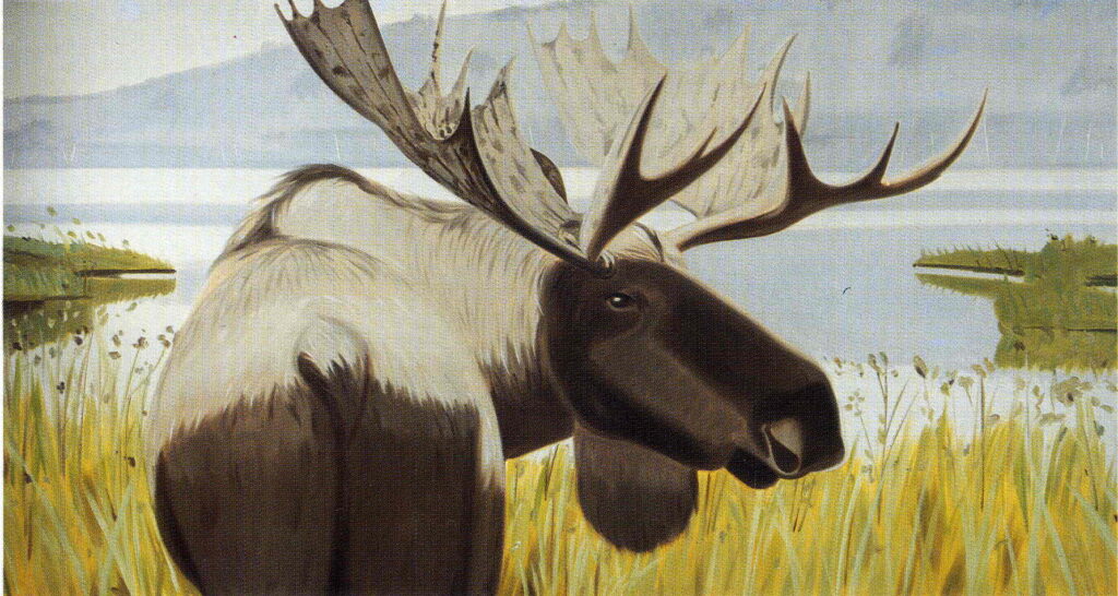 Moosehorn State Park - Alex Katz Tablo