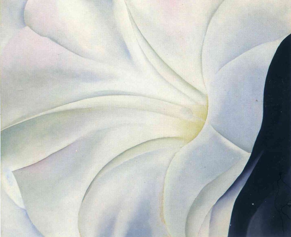 Morning Glory with Black (1926) - Georgia O'Keeffe Tablo