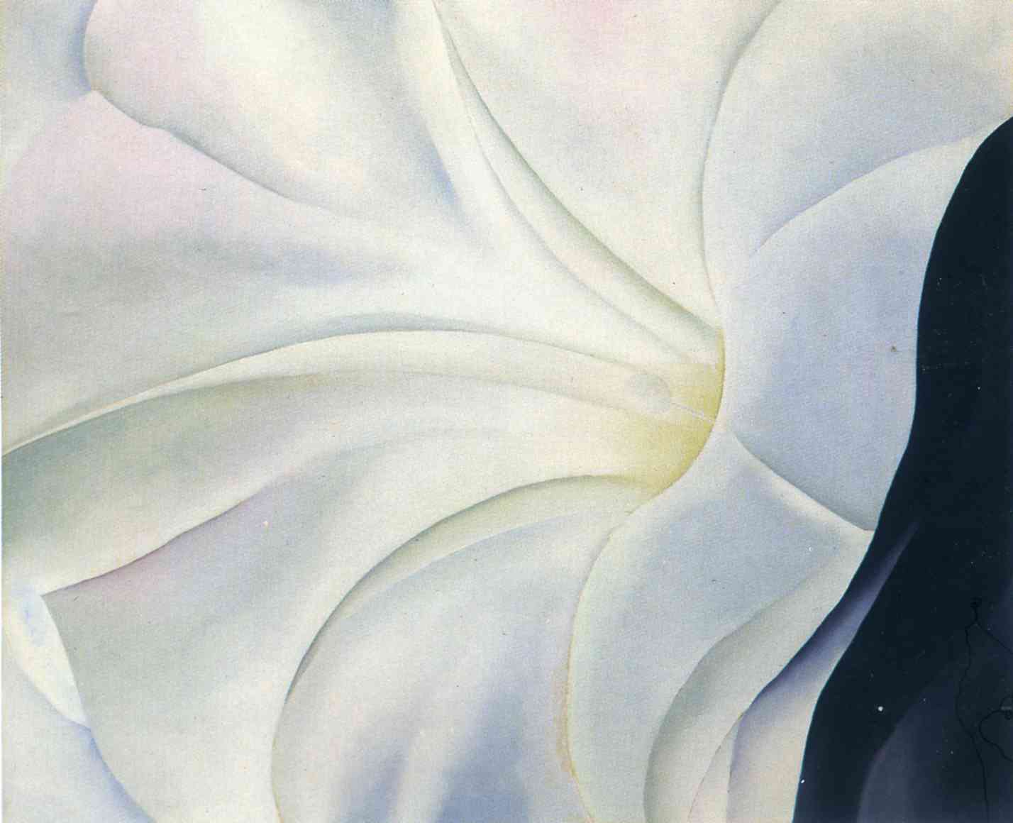 Morning Glory with Black (1926) - Georgia O'Keeffe Tablo