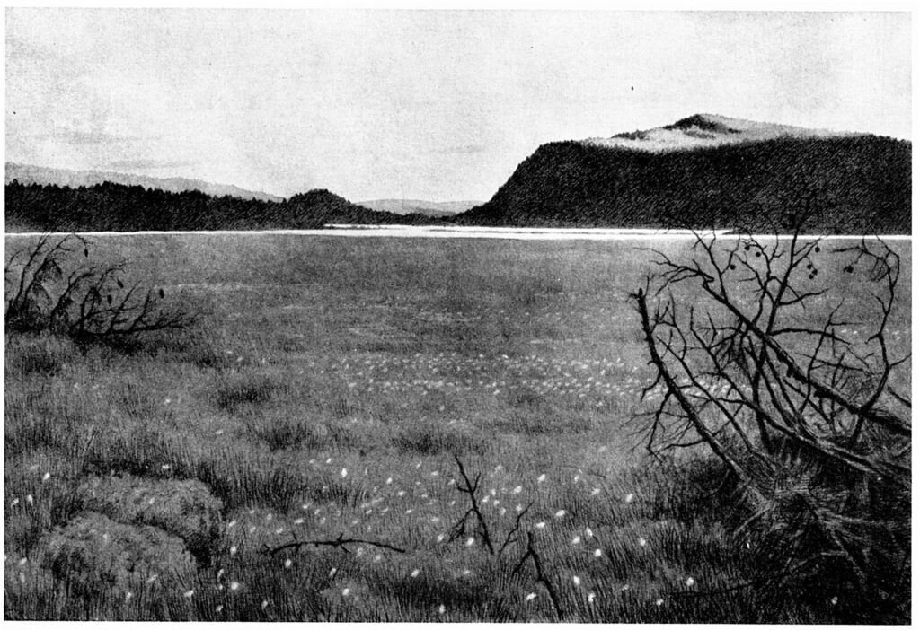 Myren Ved Solevatnet - Theodor Severin Kittelsen Tablo