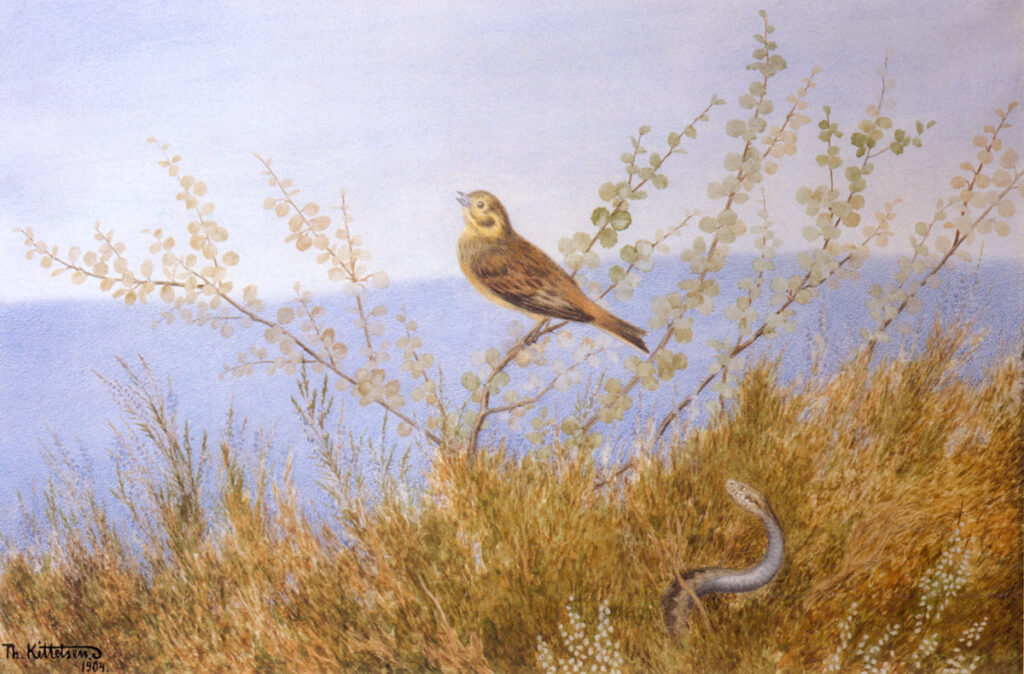 Ormen Risler Under Lying - Theodor Severin Kittelsen Tablo