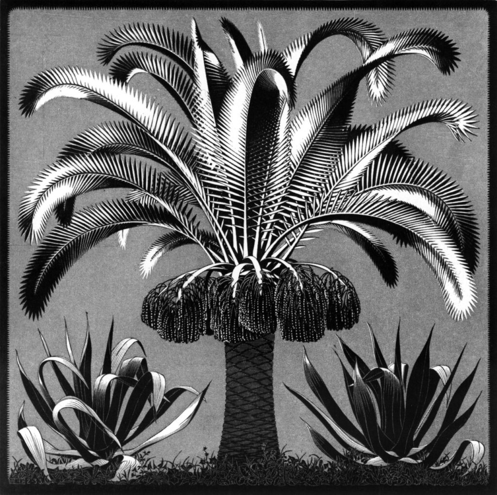 Palm (1933) - M. C. Escher Tablo