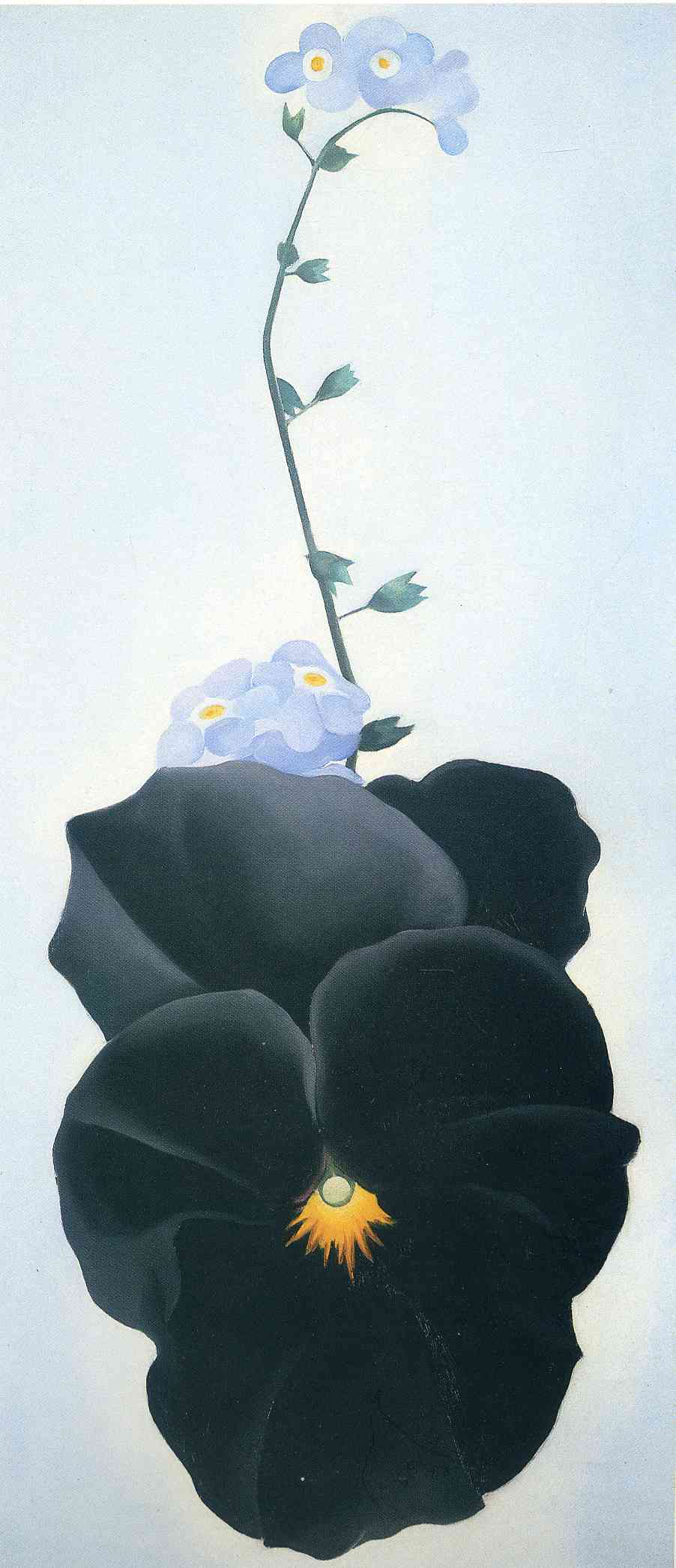 Pansy (1926) - Georgia O'Keeffe Tablo