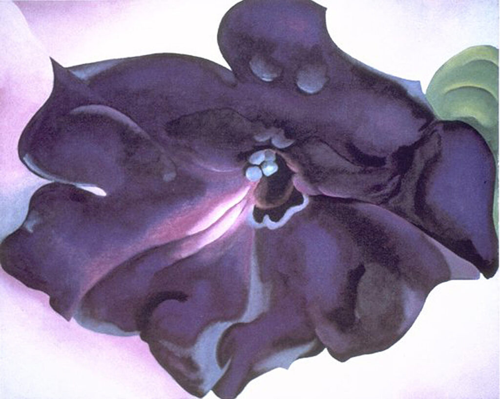 Petunia (1925) - Georgia O'Keeffe Tablo