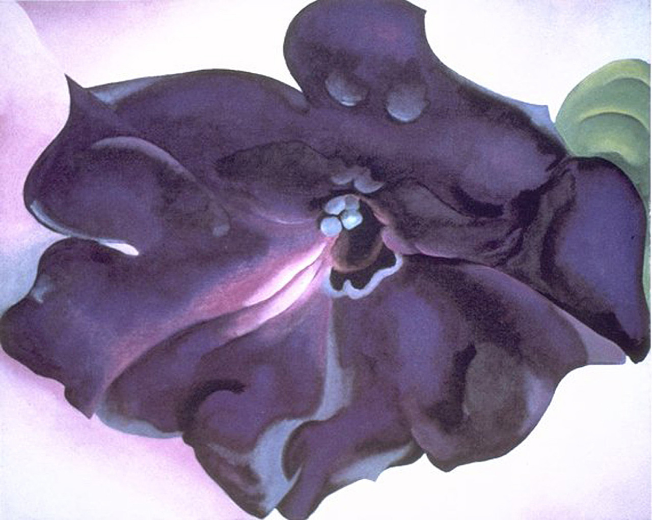 Petunia (1925) - Georgia O'Keeffe Tablo