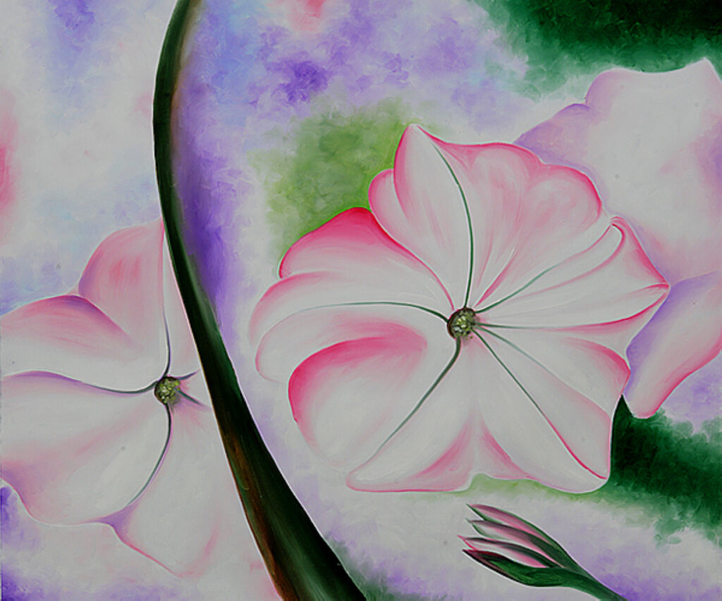 Petunia No. 2 (1924) - Georgia O'Keeffe Tablo