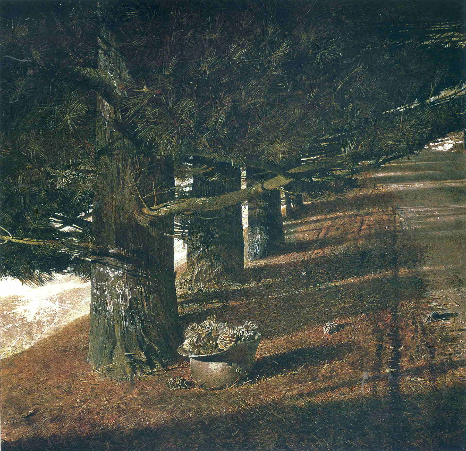 Pine Baron - Andrew Wyeth Tablo