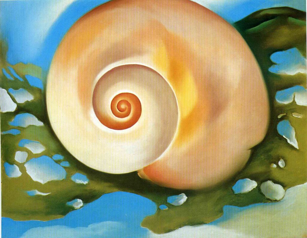 Pink Shell with Seaweed (1937) - Georgia O'Keeffe Tablo