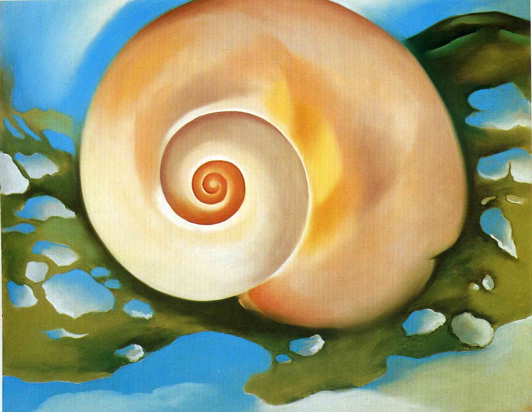 Pink Shell with Seaweed (1937) - Georgia O'Keeffe Tablo