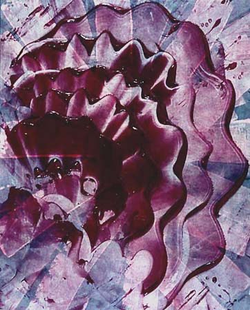 Plains Rose - Walter Darby Bannard Tablo