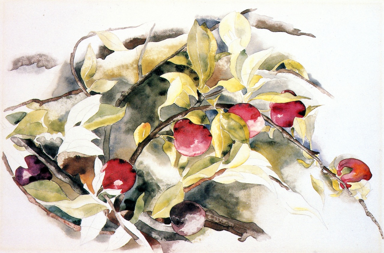 Plums (1925) - Charles Demuth Tablo