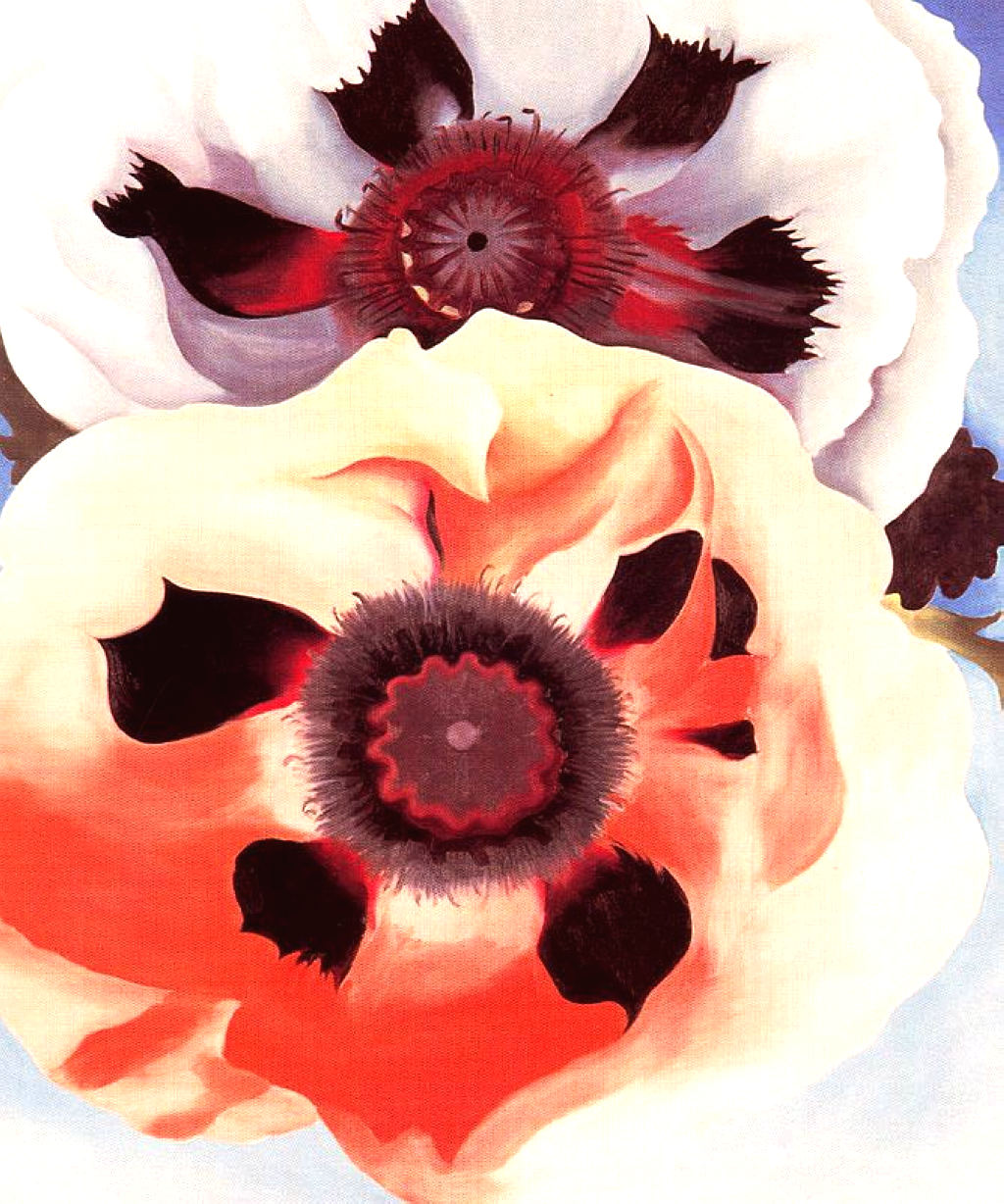 Poppies - Georgia O'Keeffe Tablo