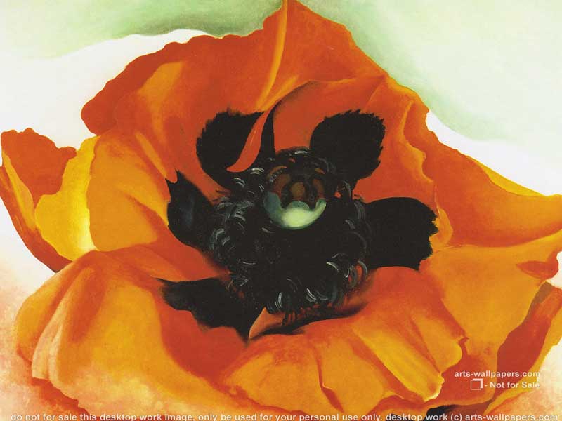 Poppy 4 - Georgia O'Keeffe Tablo