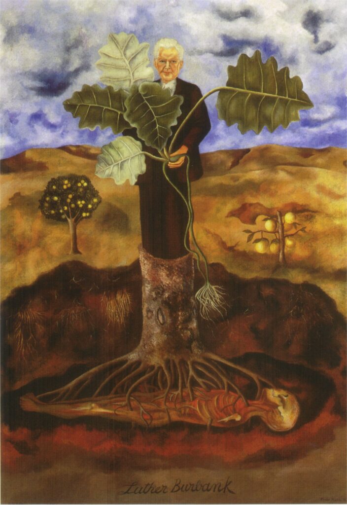 Portrait of Luther Burbank (1931) - Frida Kahlo Tablo