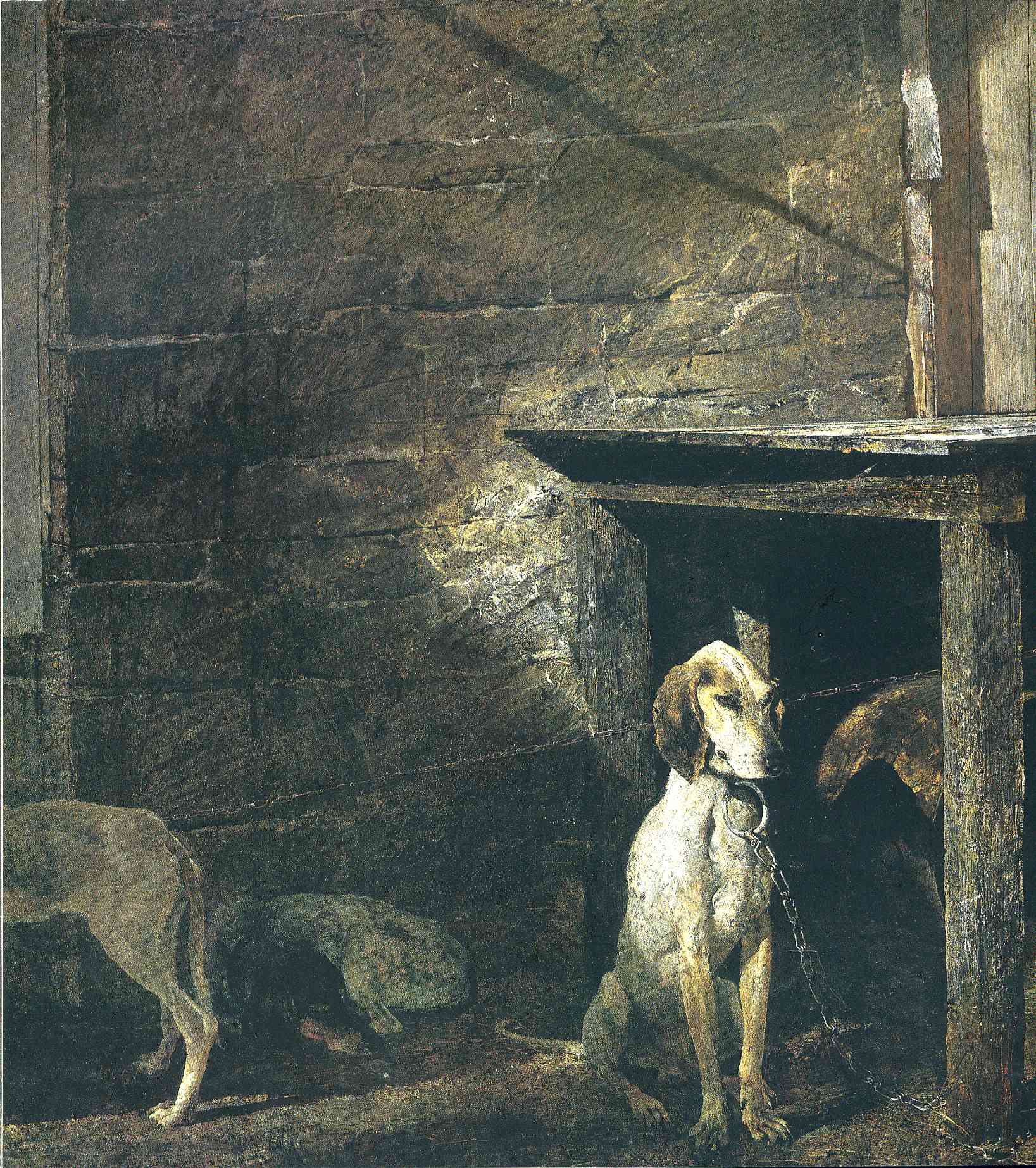 Raccoon - Andrew Wyeth Tablo