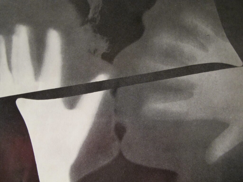 Rayograph (The Kiss) (1922) - Man Ray Tablo