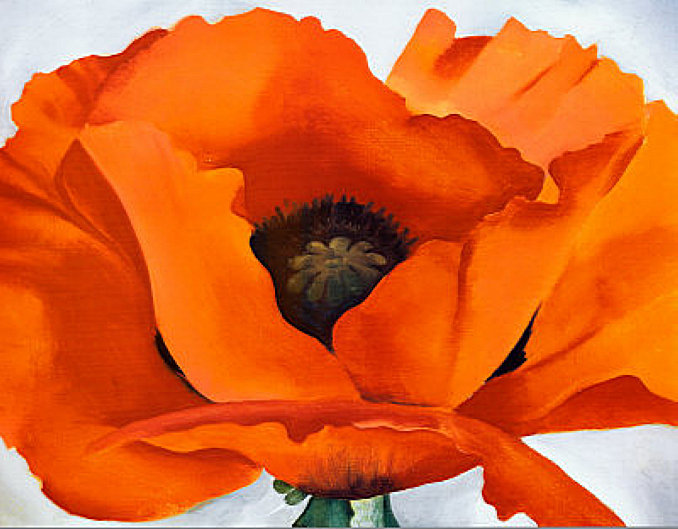 Red Poppy (1927) - Georgia O'Keeffe Tablo