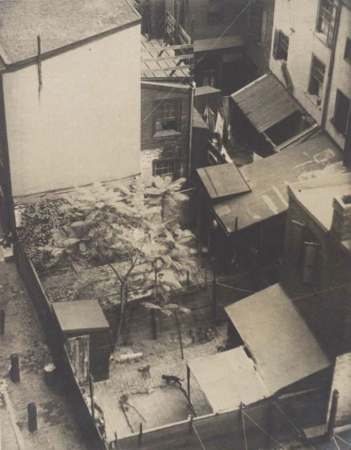 Rooftops (1916) - Morton Schamberg Tablo